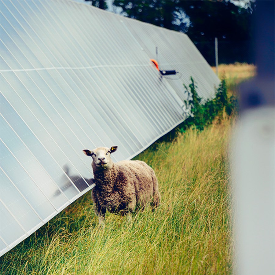 EWE Sol Newsdummy 6